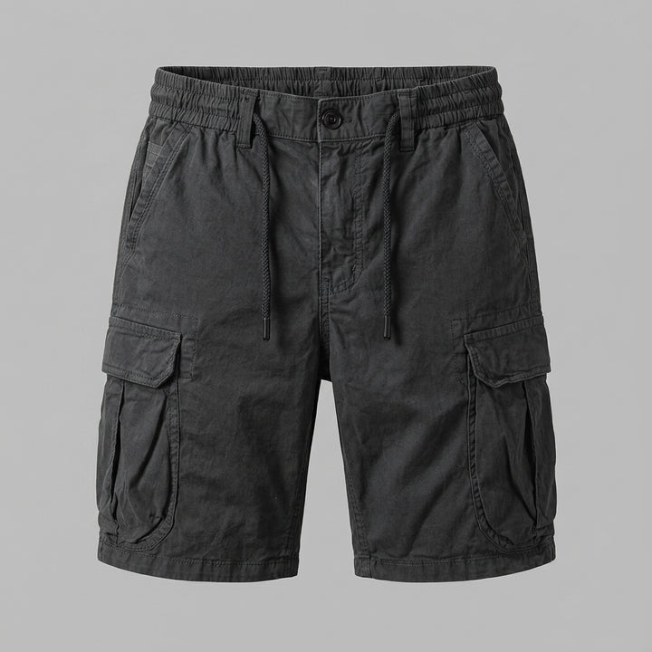 Ashcroft Slim-Fit Shorts