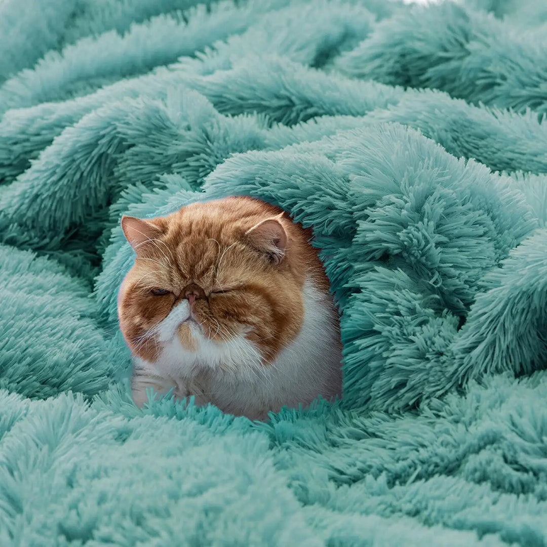 A grumpy-looking orange and white cat snuggles partially under a fluffy, sage green Sherpa blanket, with only its head and shoulders visible.