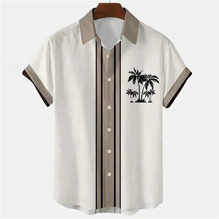 40700019802175|40700019834943|40700019867711|40700019933247|40700019966015|40700019998783|40700020031551|40700022718527|40700022751295|40700022784063