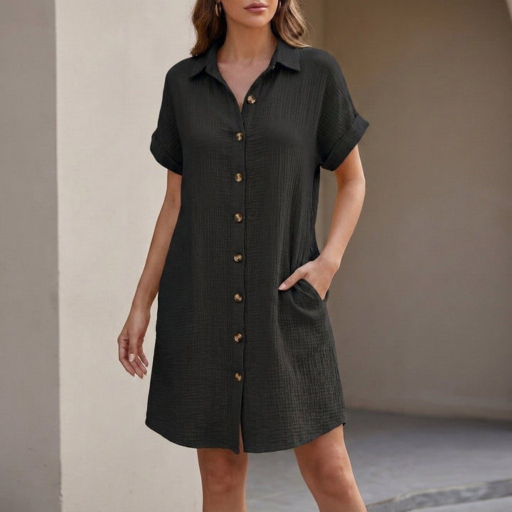 Chantilly Button-Front Shirt Dress - Black