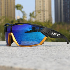 Vector Sunglasses - Black and Gold / Arctic